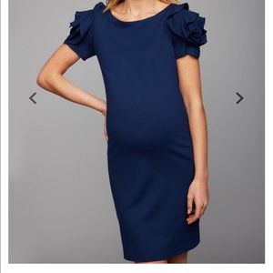 Pietro Brunelli Salisburgo Maternity Dress